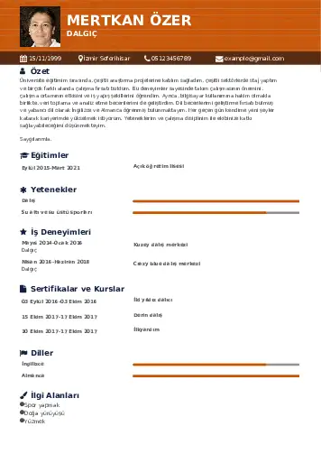 Dalgıç CV Örnekleri cv indir